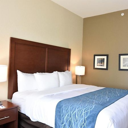 Comfort Inn & Suites روك هيل المظهر الخارجي الصورة